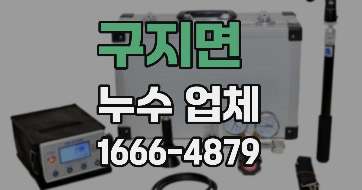 구지면 누수 업체