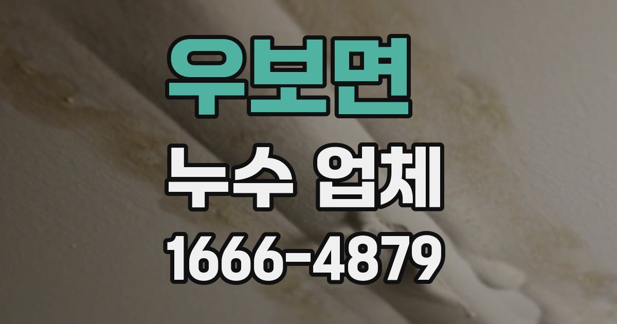 우보면 누수 업체
