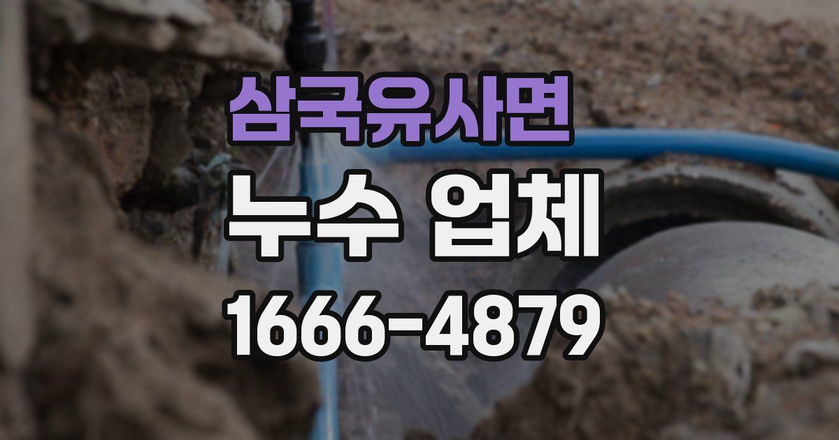 삼국유사면 누수 업체