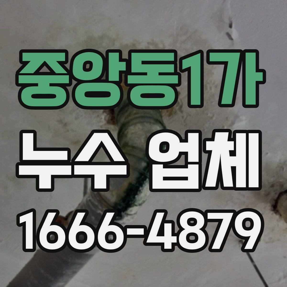 중앙동1가 누수 업체