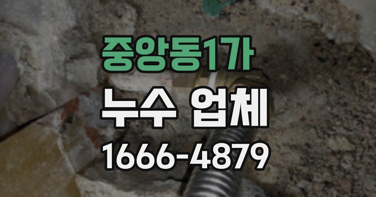중앙동1가 누수 업체