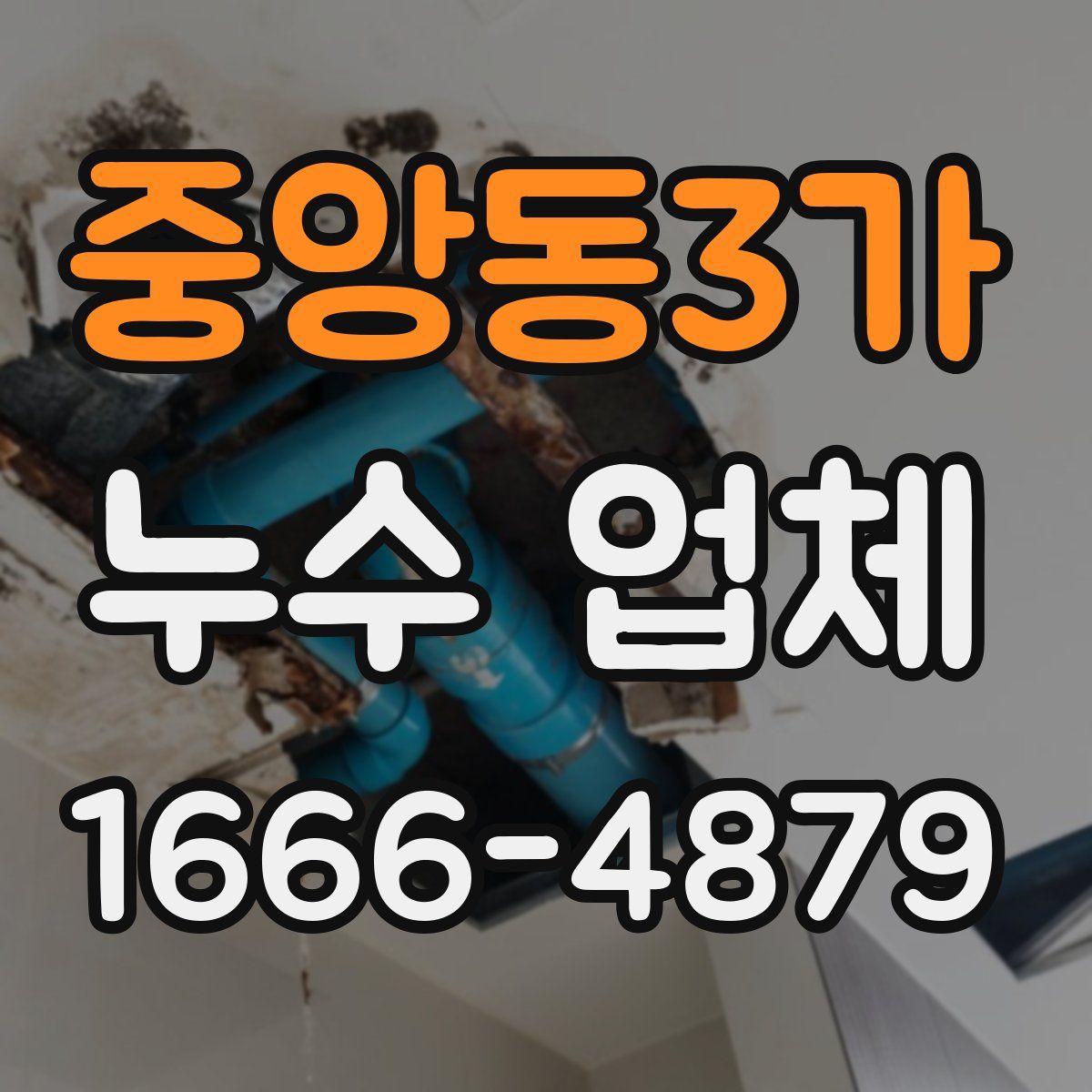 중앙동3가 누수 업체