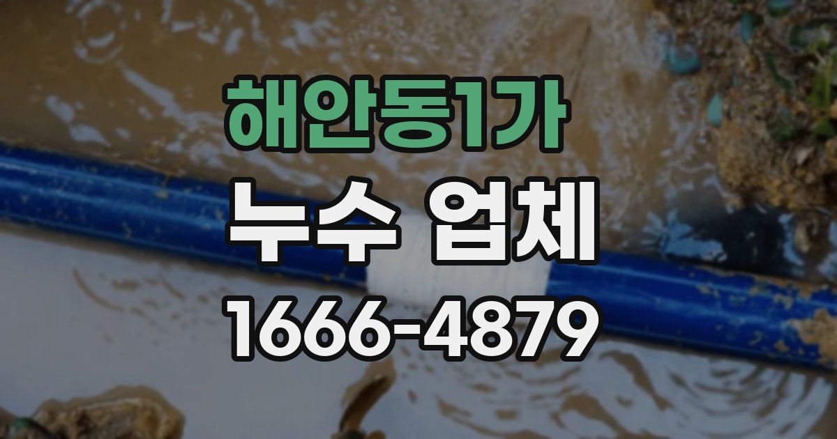 해안동1가 누수 업체