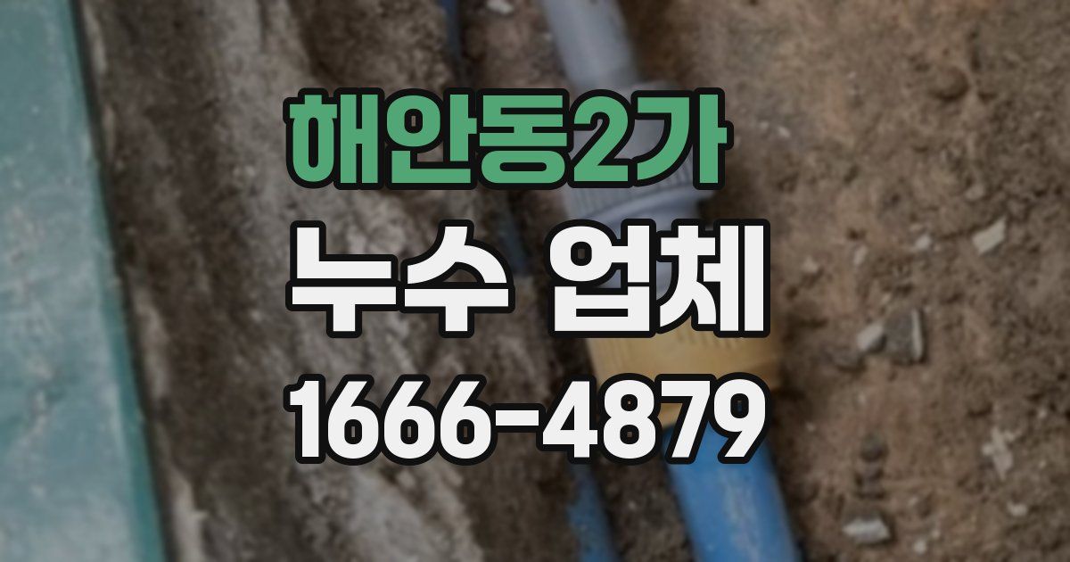 해안동2가 누수 업체