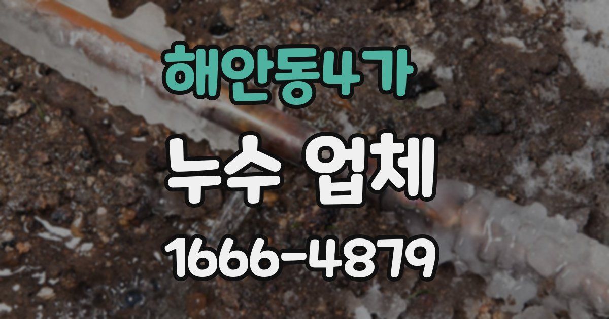 해안동4가 누수 업체