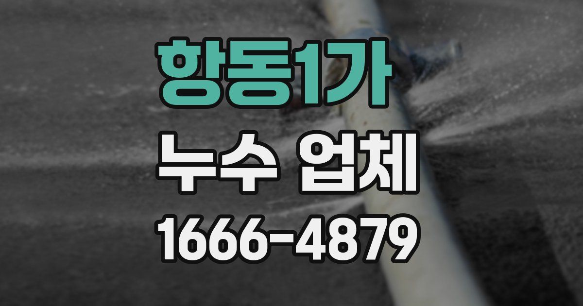 항동1가 누수 업체