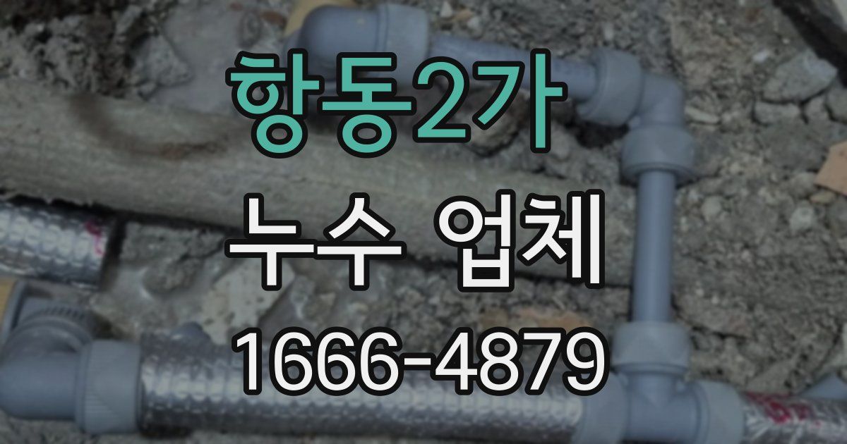 항동2가 누수 업체