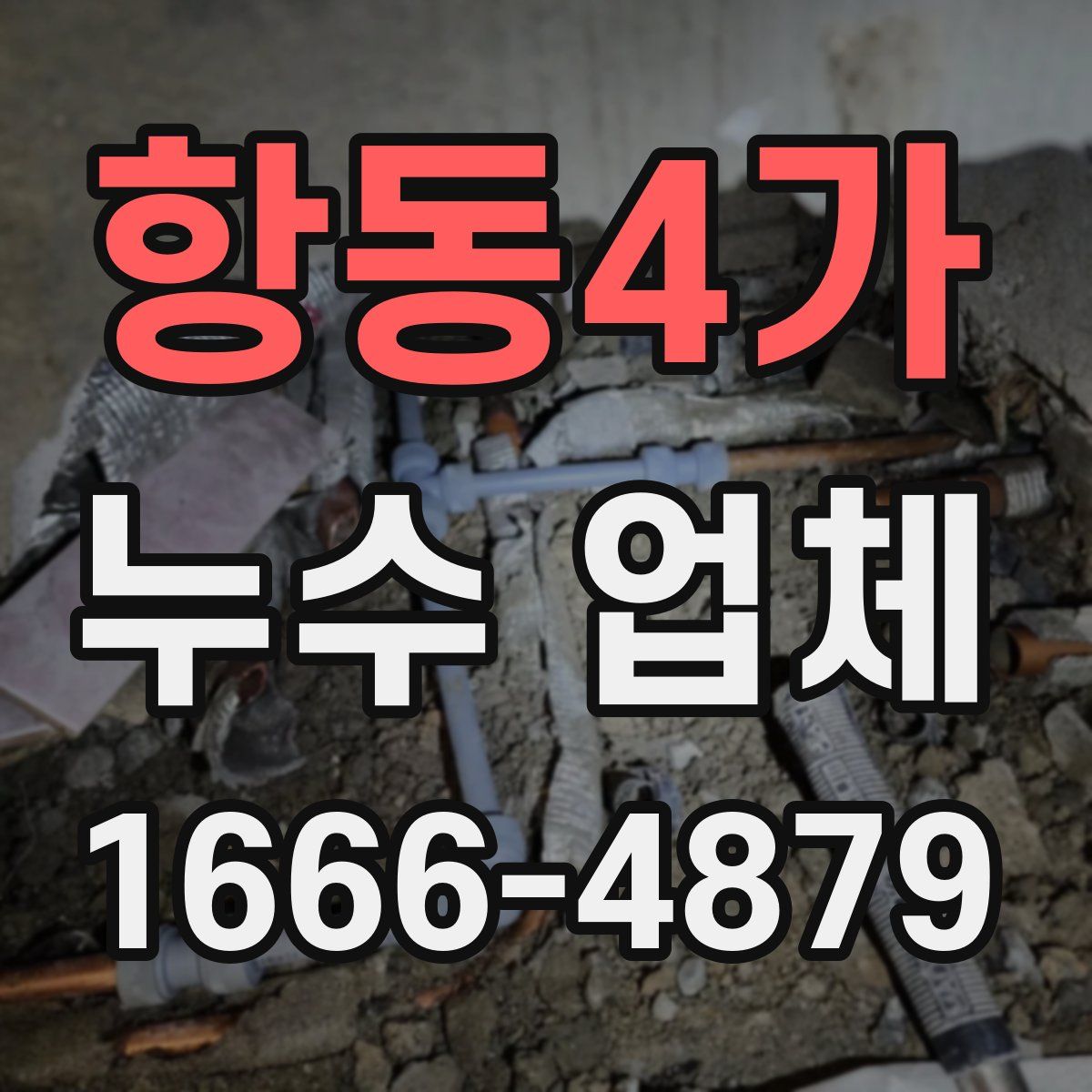 항동4가 누수 업체