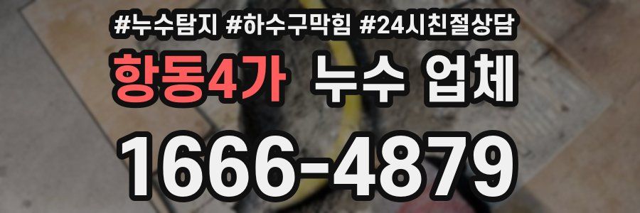 항동4가 누수 업체