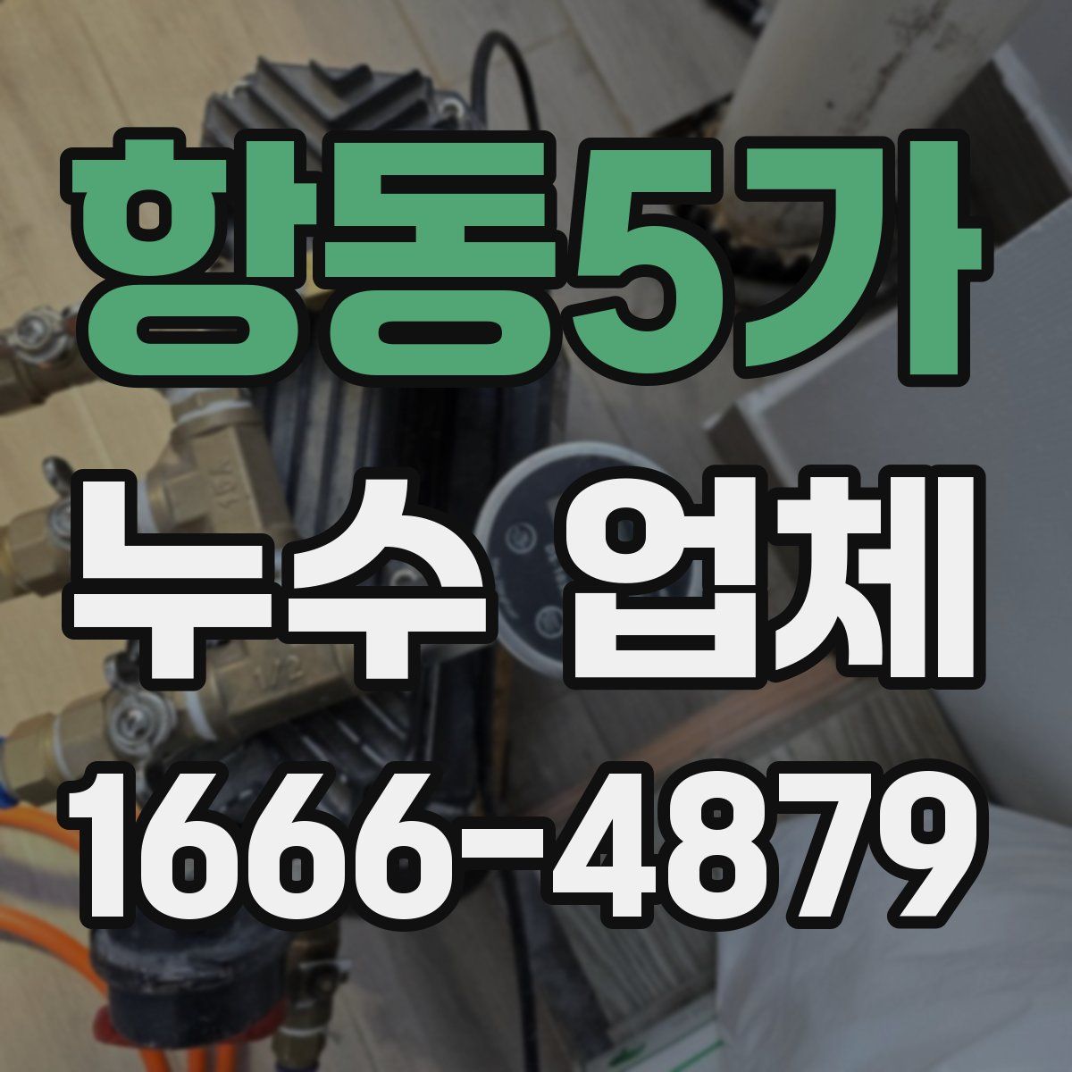 항동5가 누수 업체