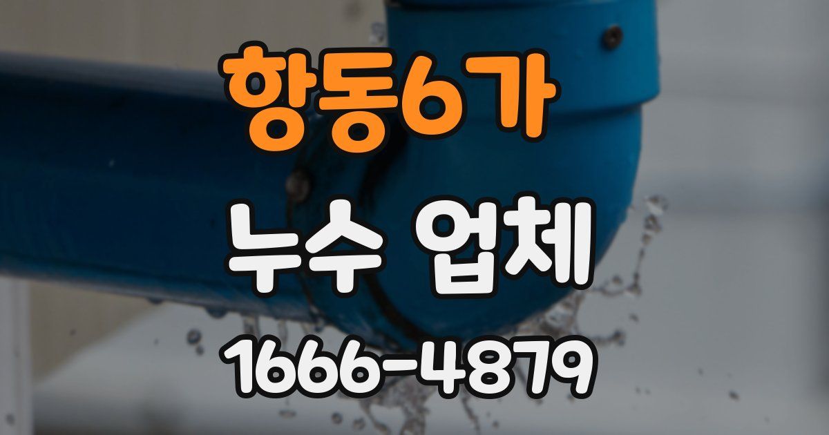 항동6가 누수 업체