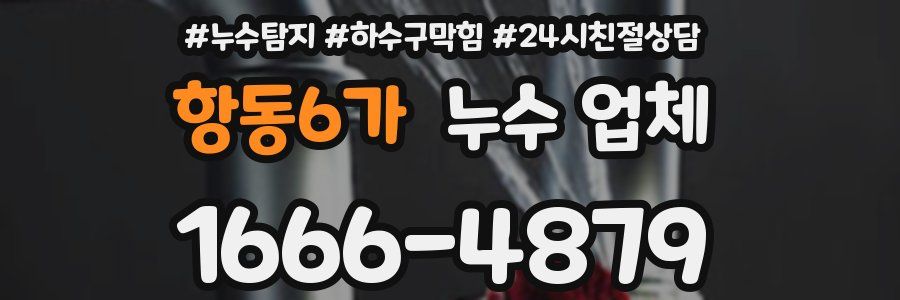 항동6가 누수 업체