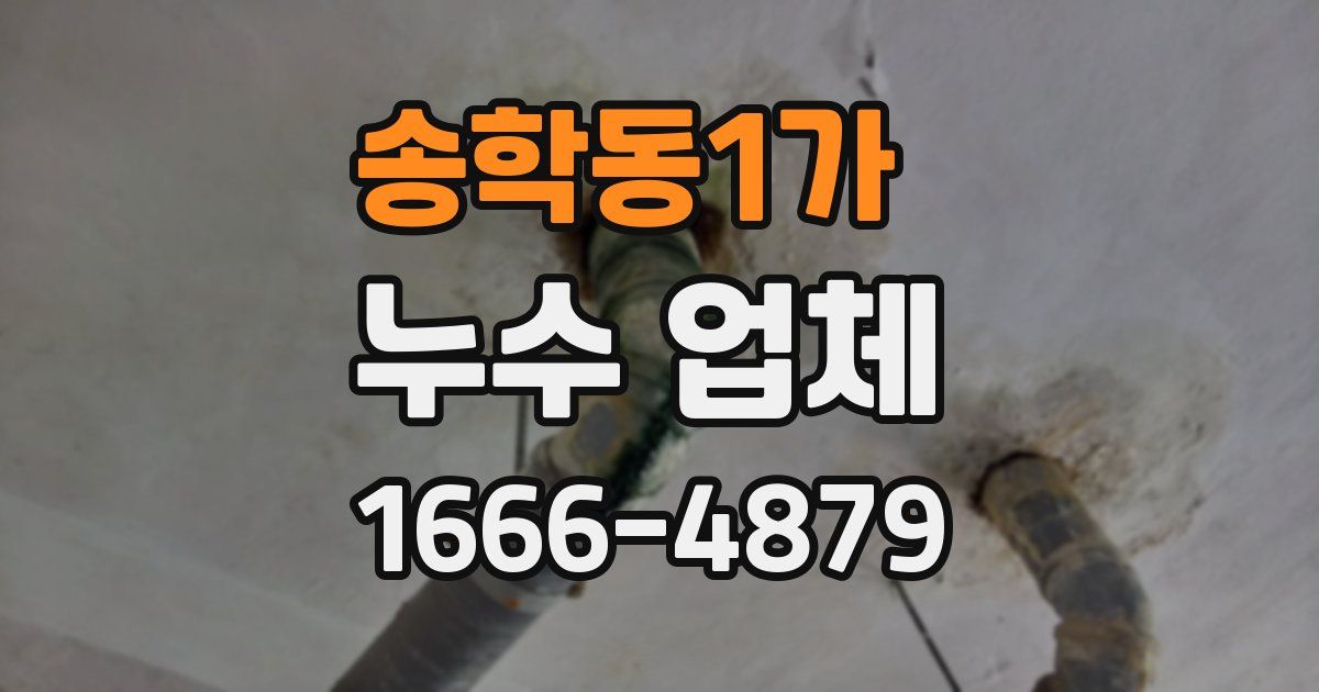 송학동1가 누수 업체