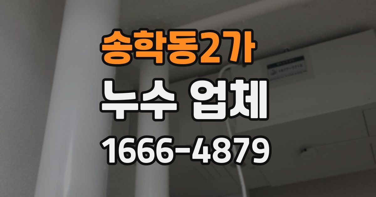송학동2가 누수 업체