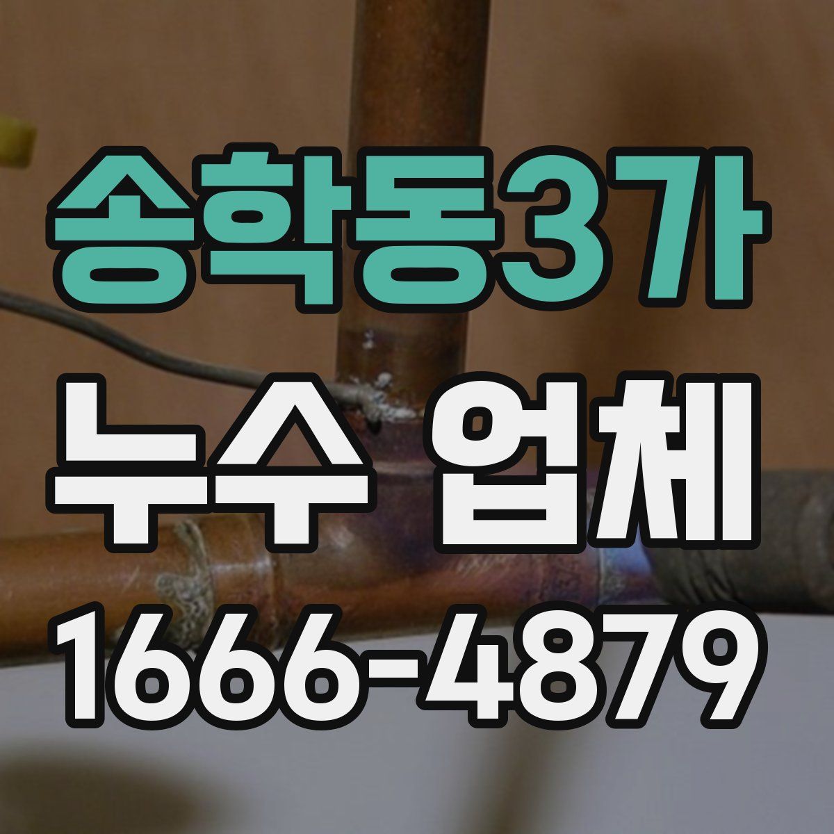 송학동3가 누수 업체