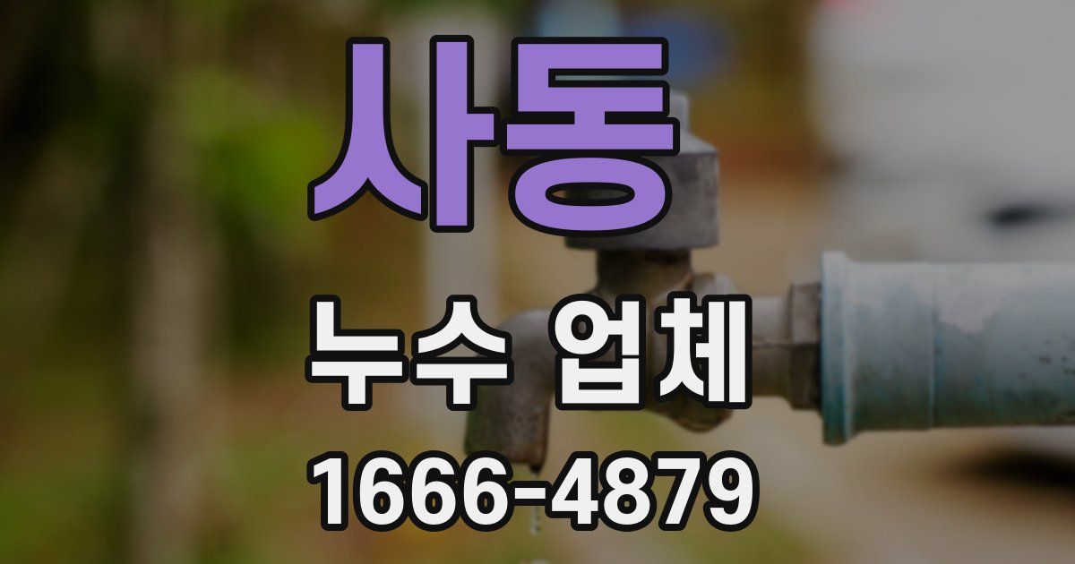 사동 누수 업체