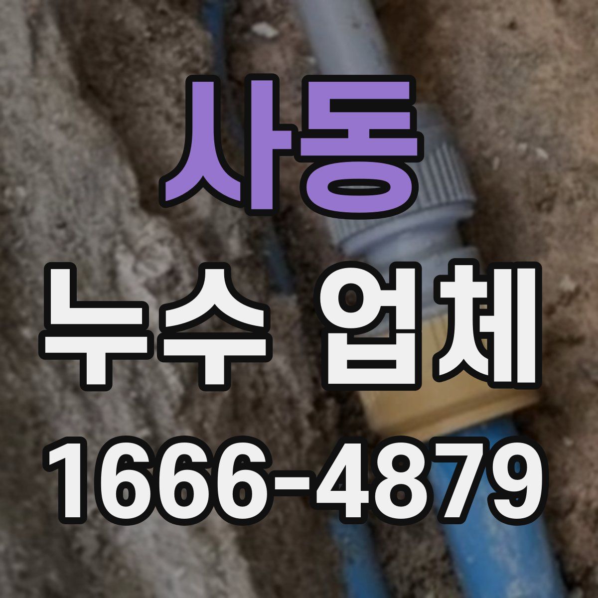 사동 누수 업체