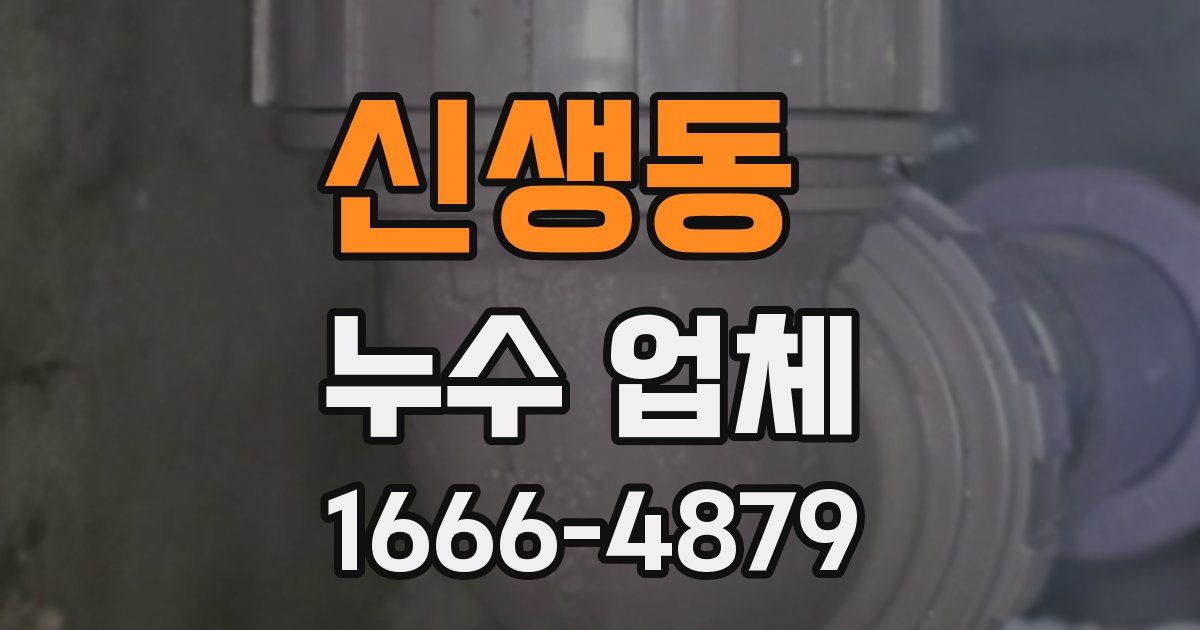 신생동 누수 업체