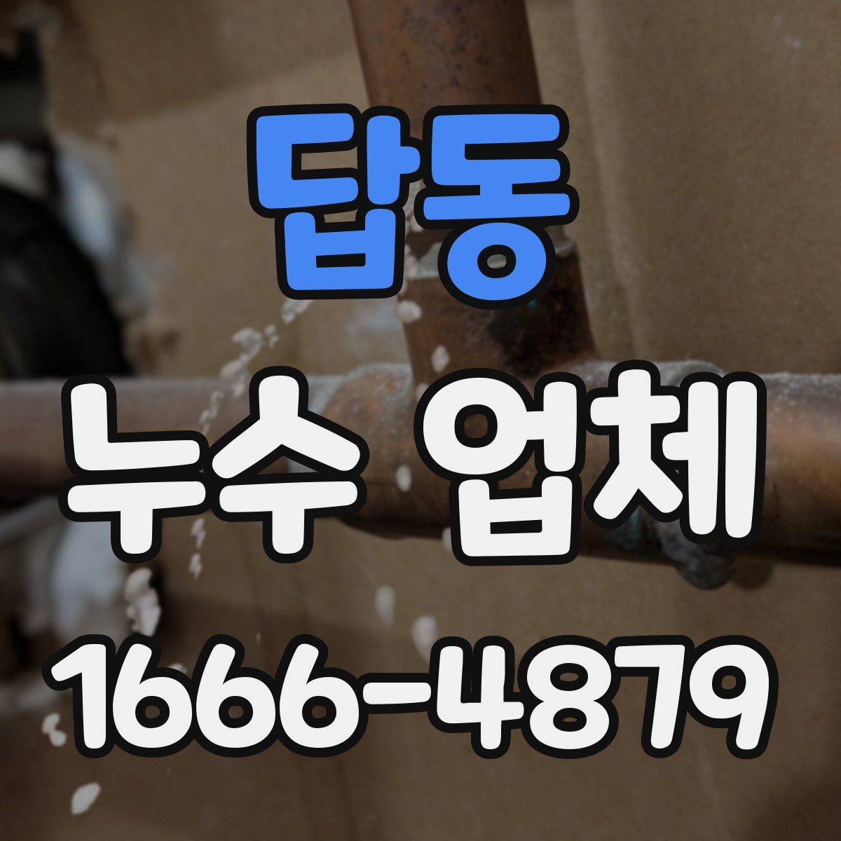 답동 누수 업체