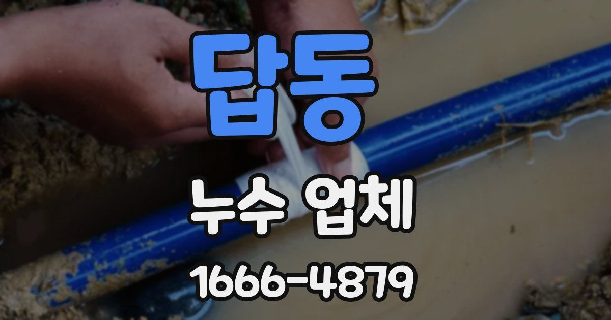 답동 누수 업체