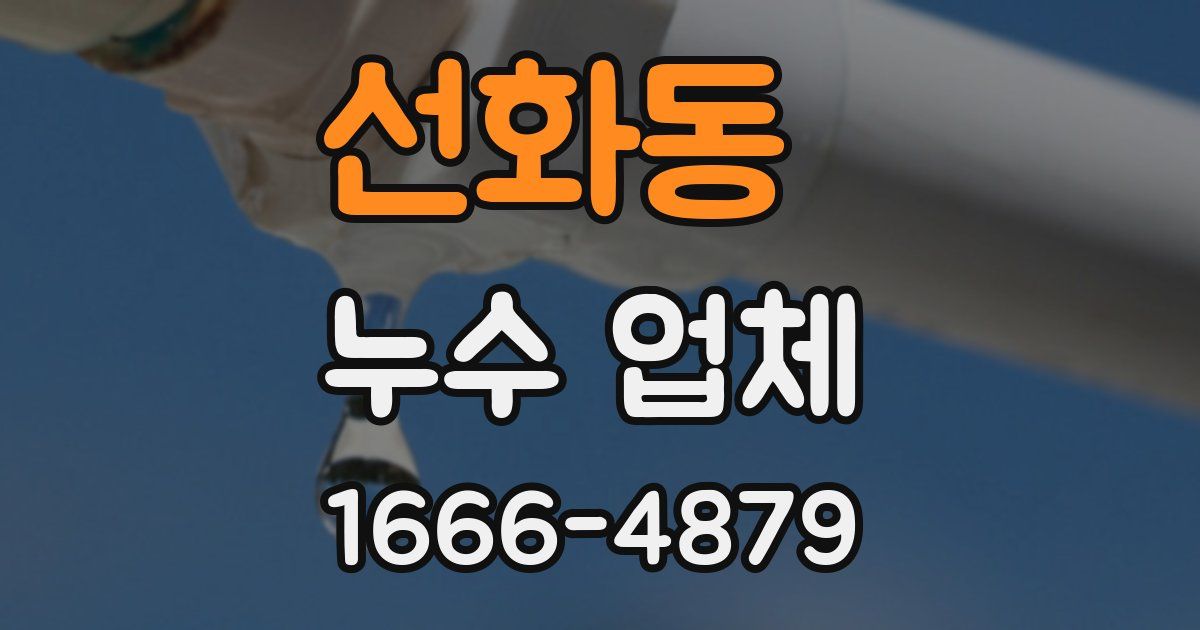 선화동 누수 업체