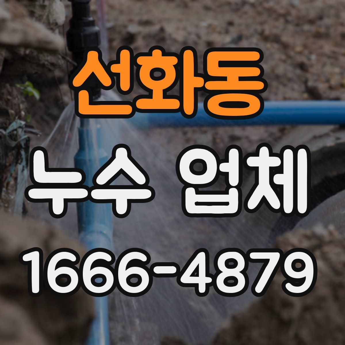 선화동 누수 업체