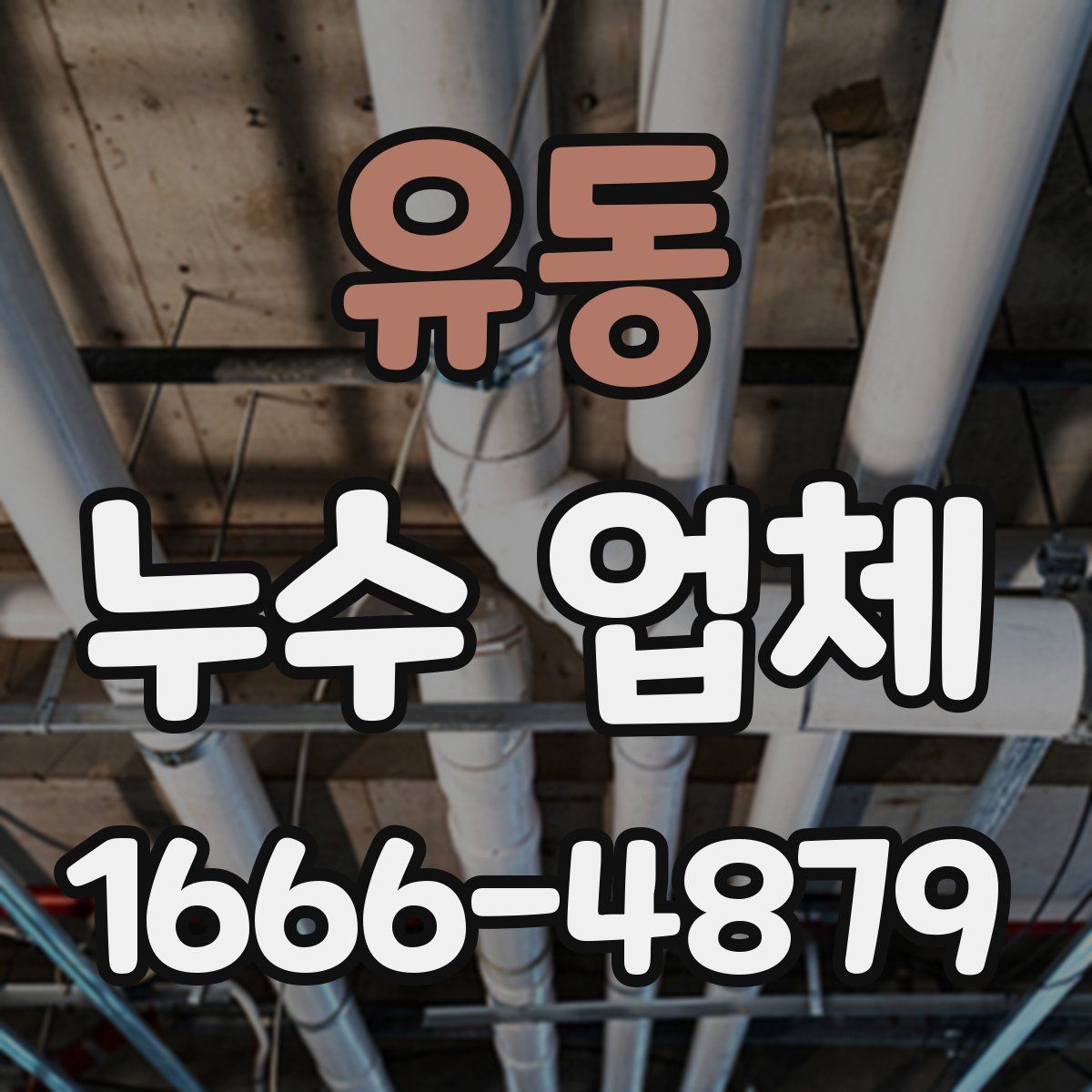 유동 누수 업체