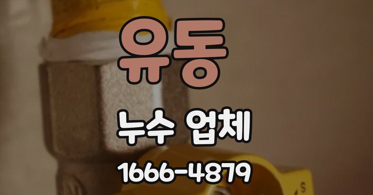 유동 누수 업체