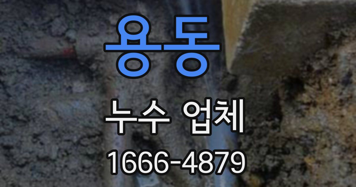 용동 누수 업체