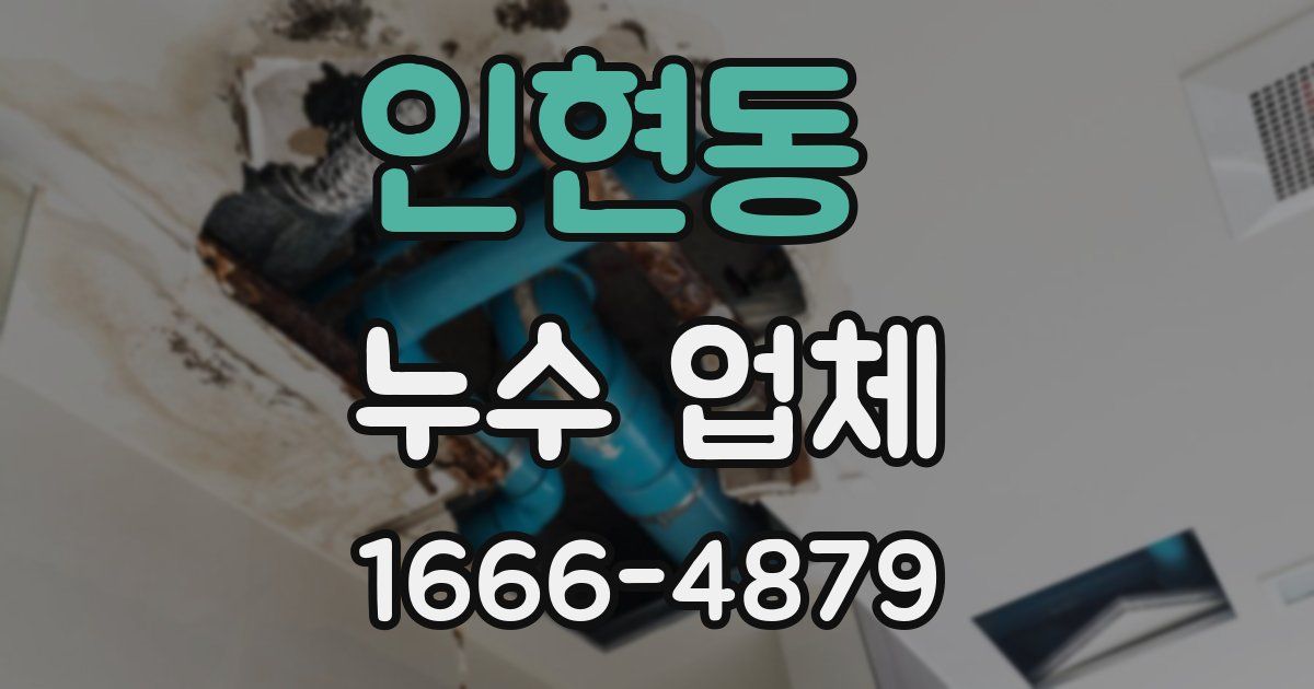 인현동 누수 업체