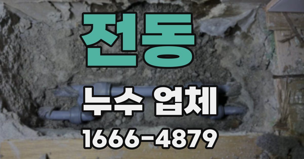 전동 누수 업체