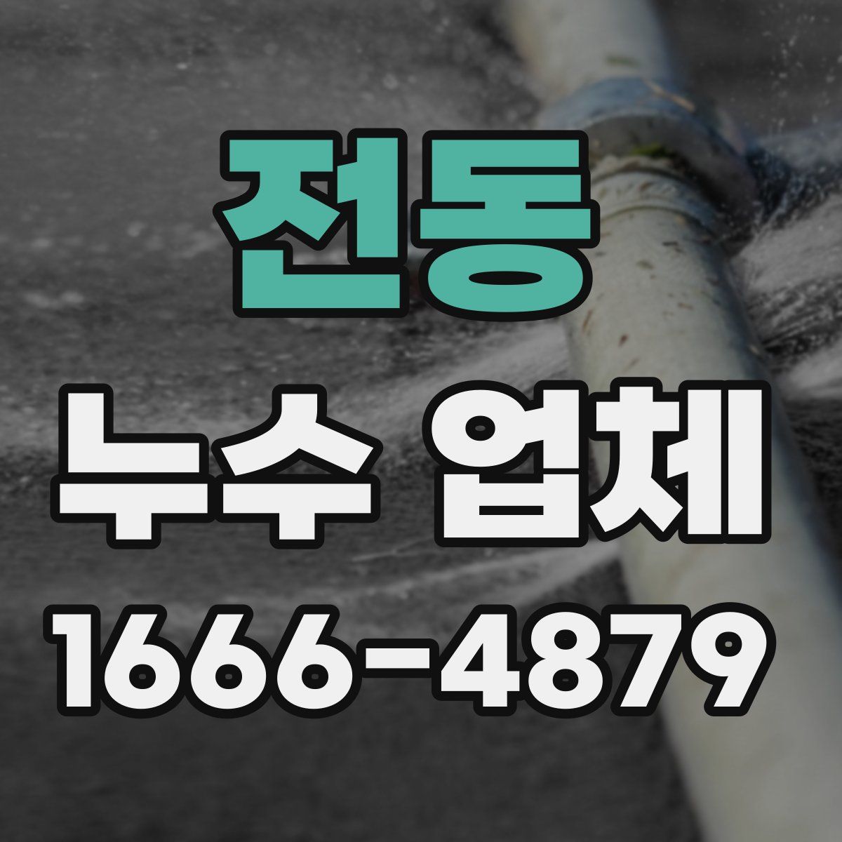 전동 누수 업체
