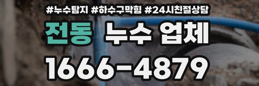 전동 누수 업체