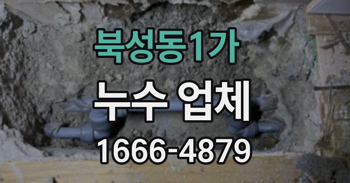 북성동1가 누수 업체