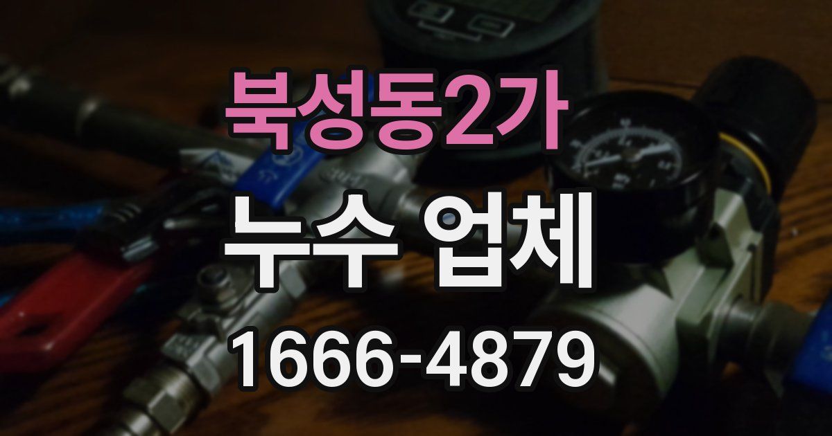북성동2가 누수 업체