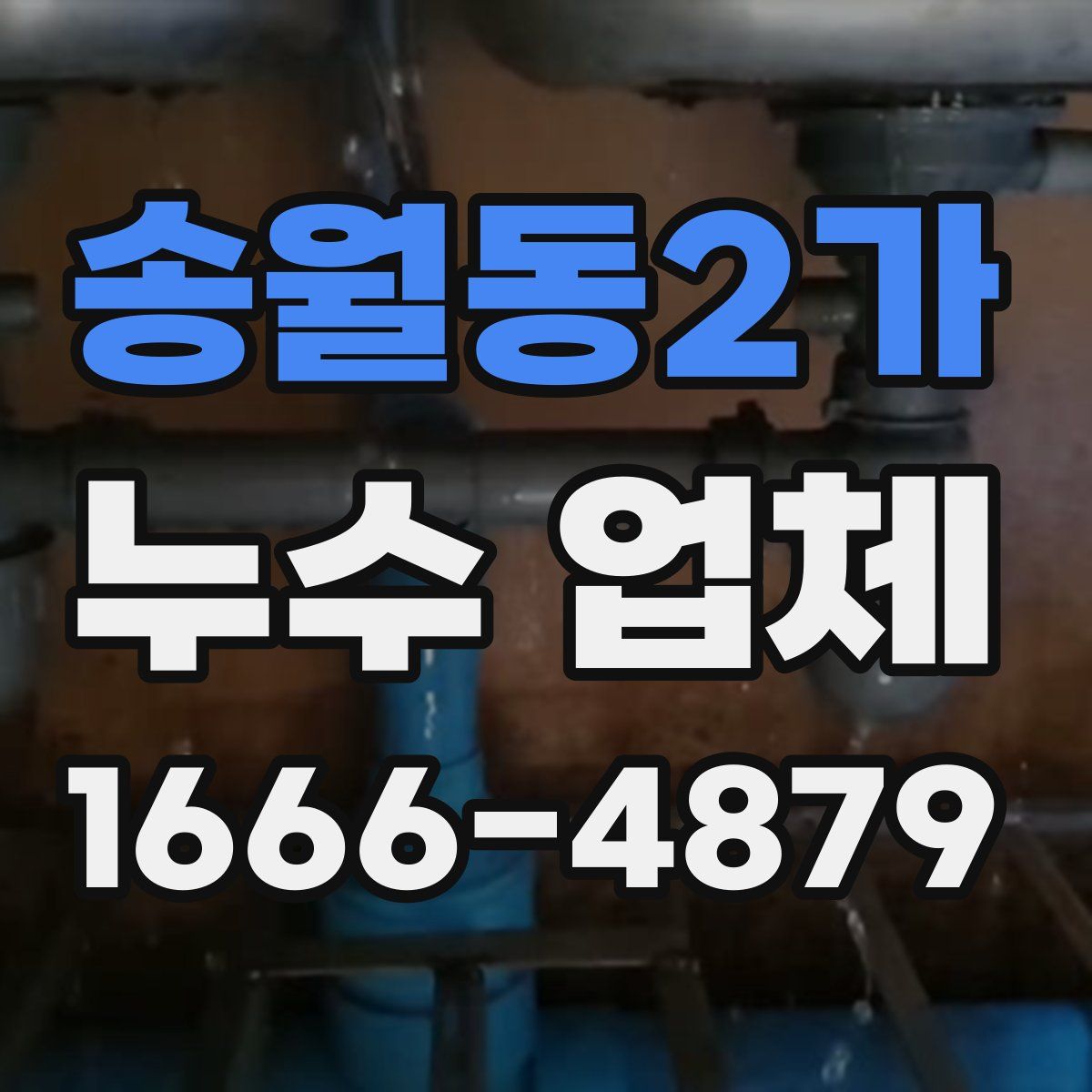 송월동2가 누수 업체