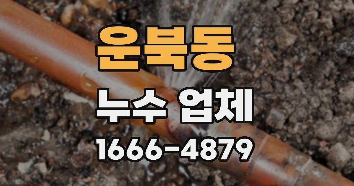 운북동 누수 업체