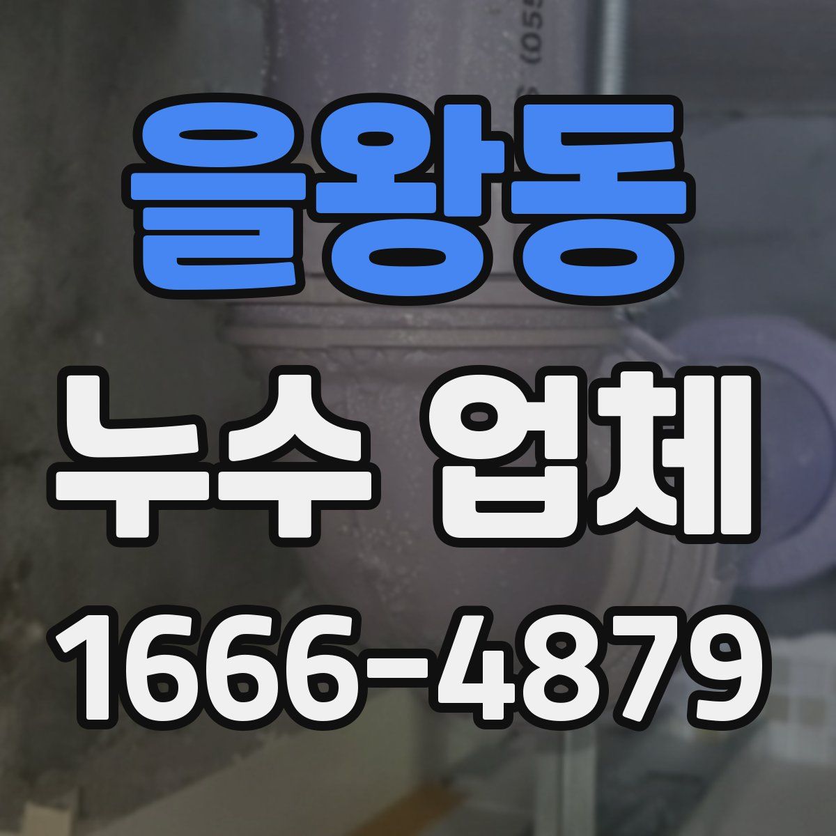 을왕동 누수 업체