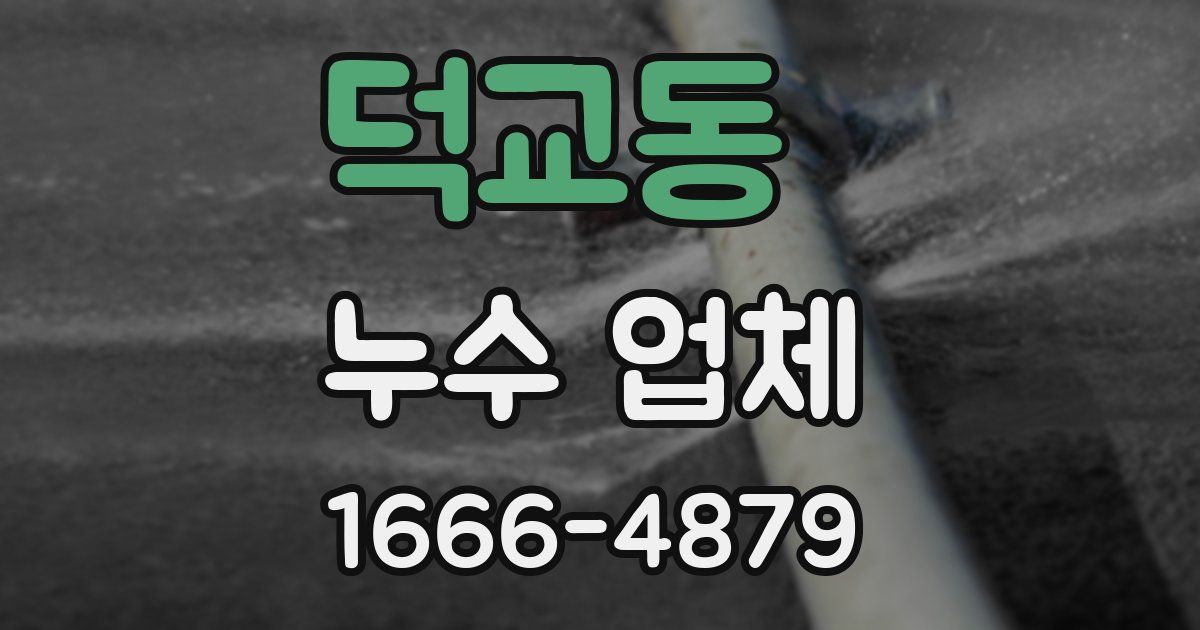 덕교동 누수 업체