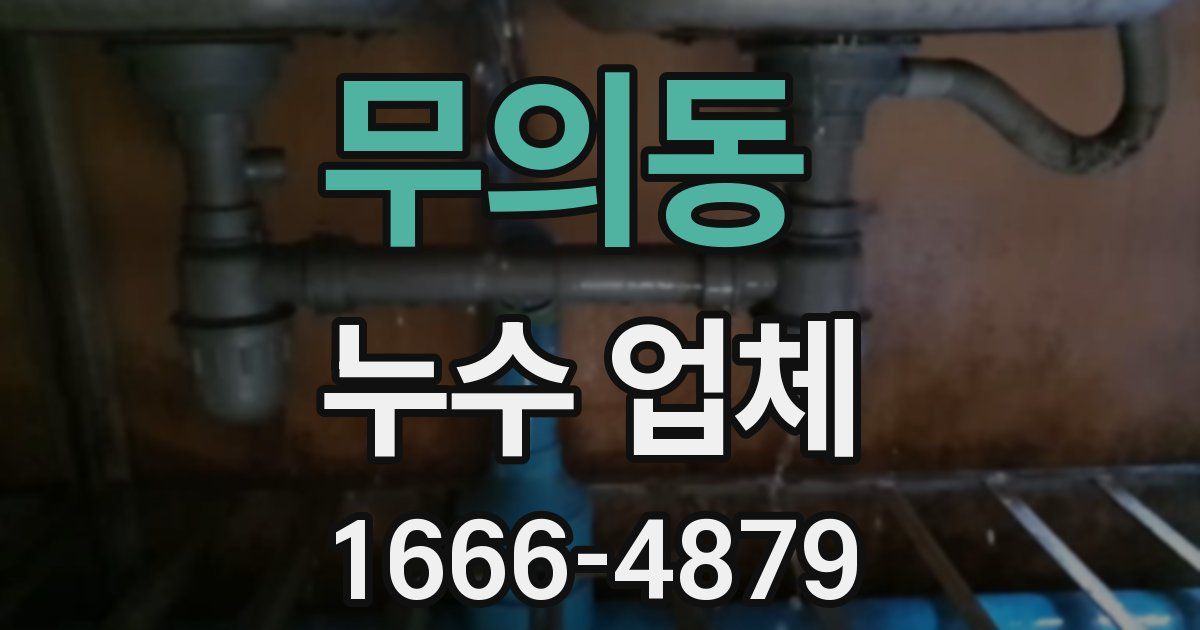 무의동 누수 업체
