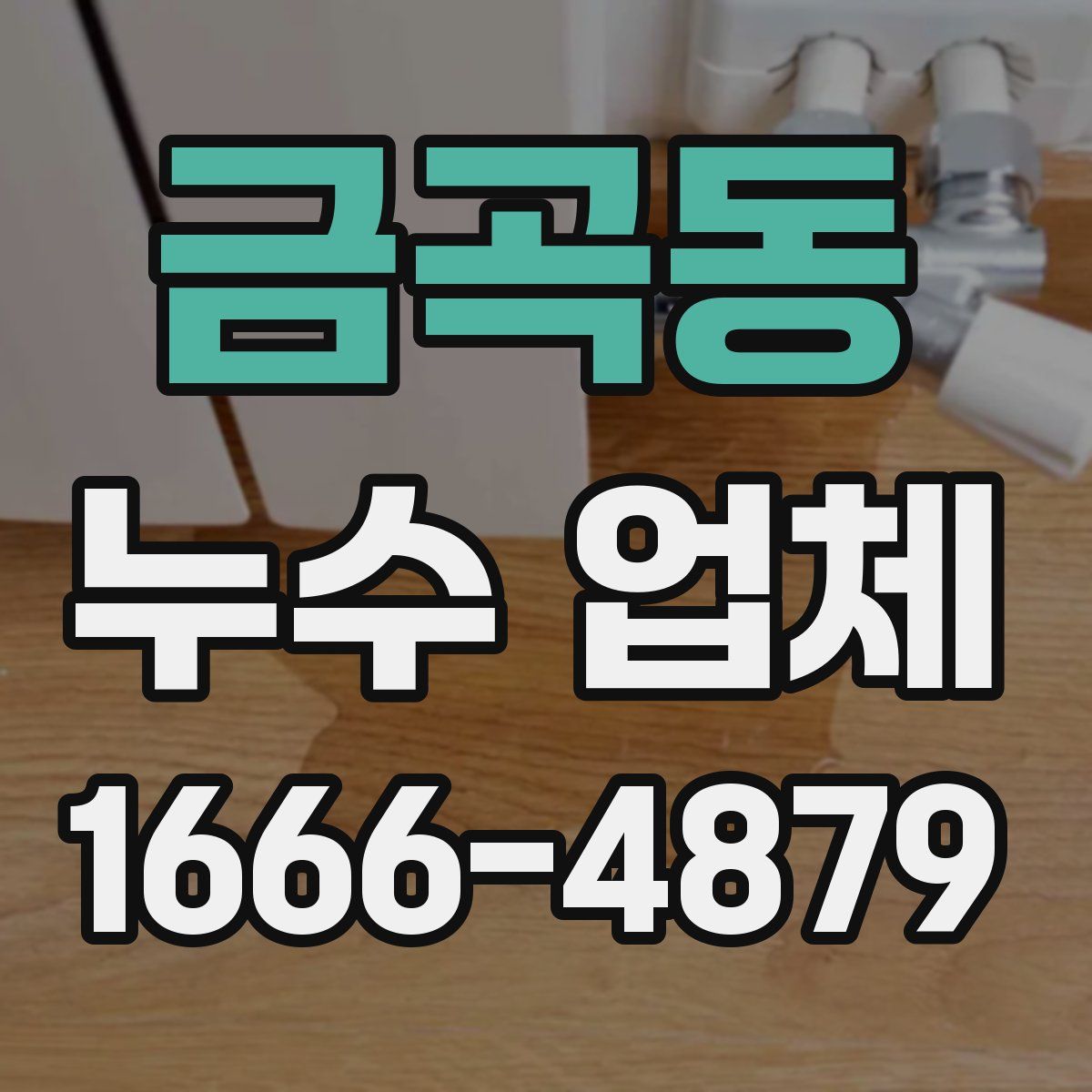 금곡동 누수 업체