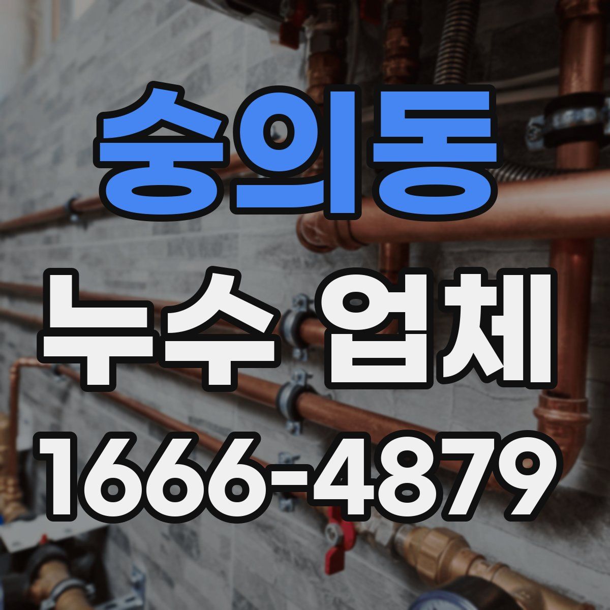 숭의동 누수 업체