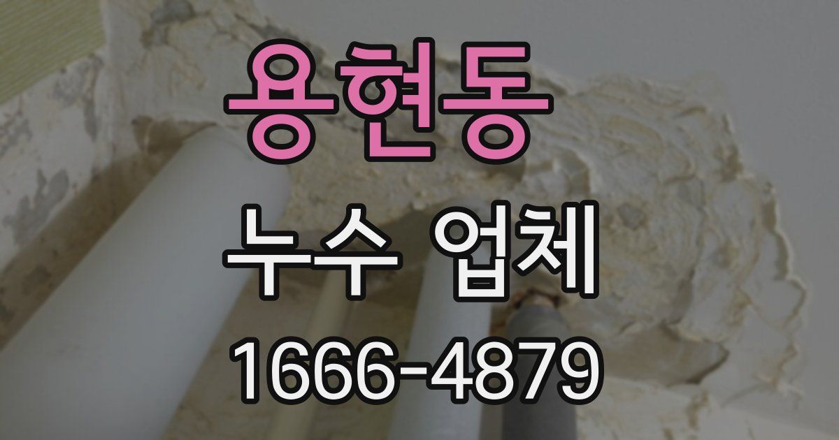 용현동 누수 업체
