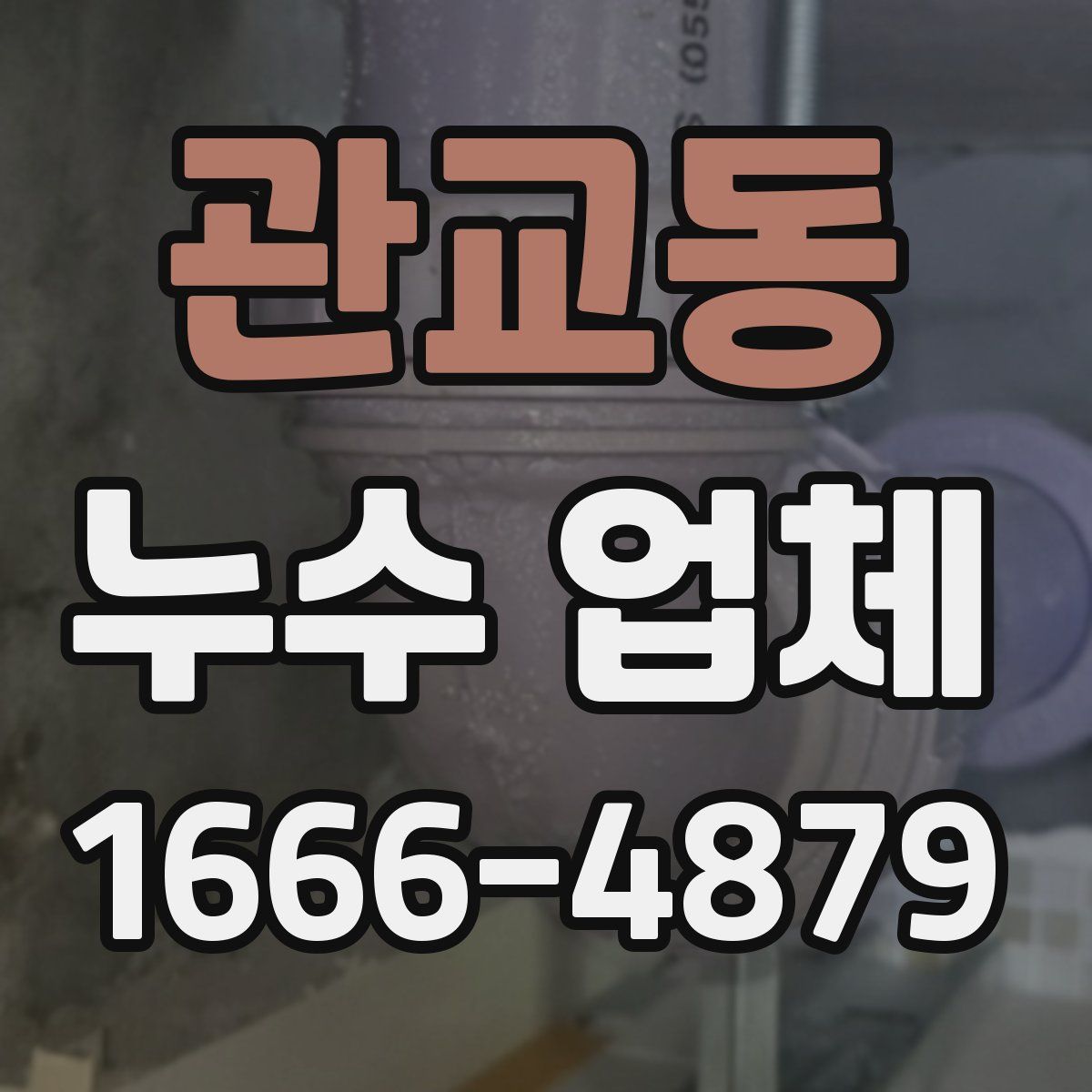 관교동 누수 업체