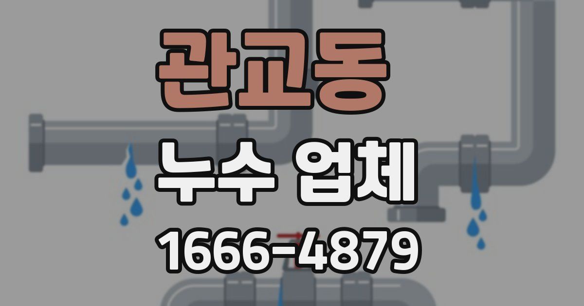 관교동 누수 업체