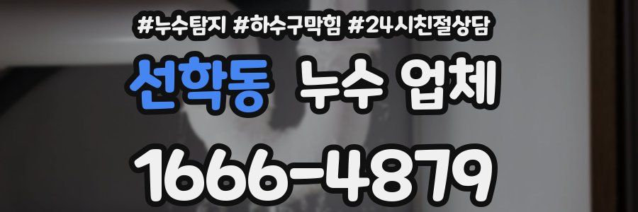 선학동 누수 업체