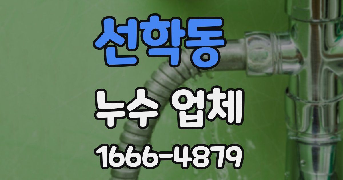 선학동 누수 업체