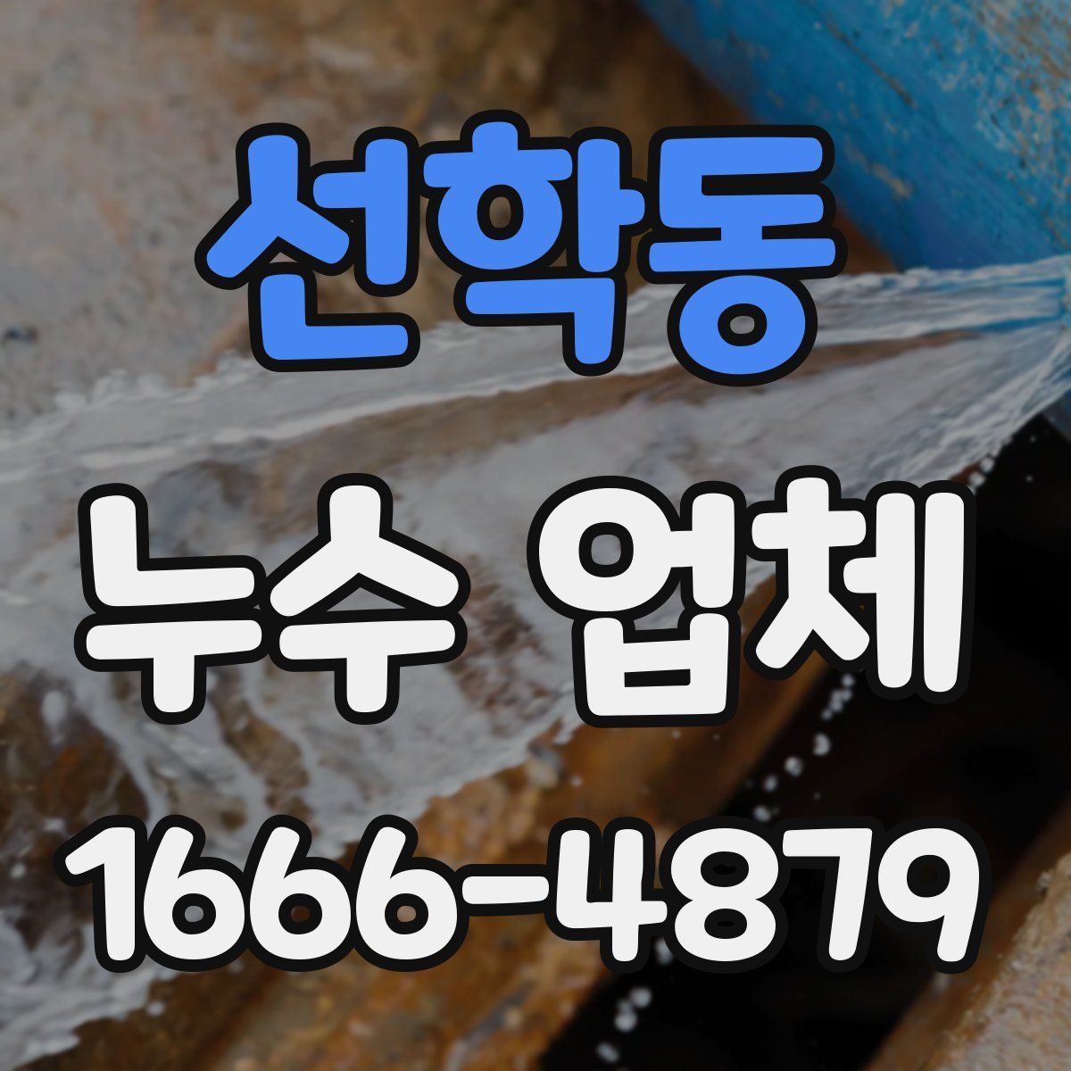 선학동 누수 업체