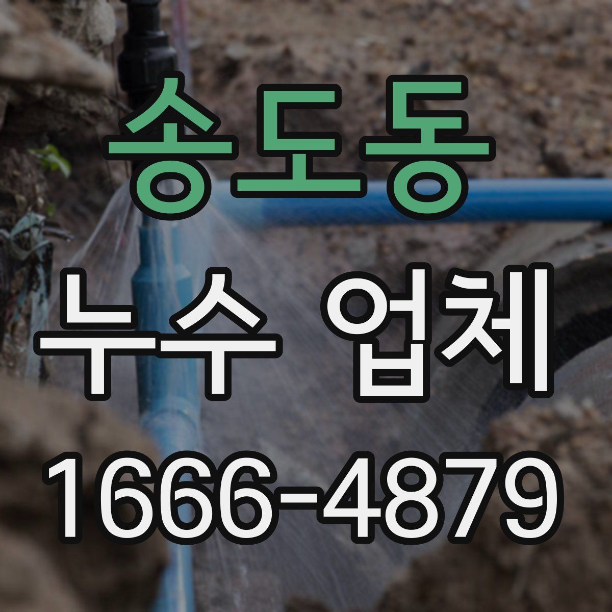 송도동 누수 업체