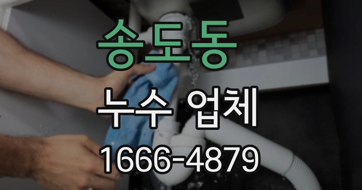 송도동 누수 업체